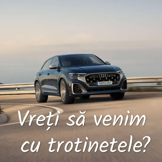 Sacrificiul suprem în slujba poporului - cum să conduci un Audi de 120.000 EUR când ratele depășesc leafa de deputat