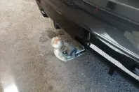 BMW X3 din 2024 cu 42.500 km - oferta BMW103291 - foto 15