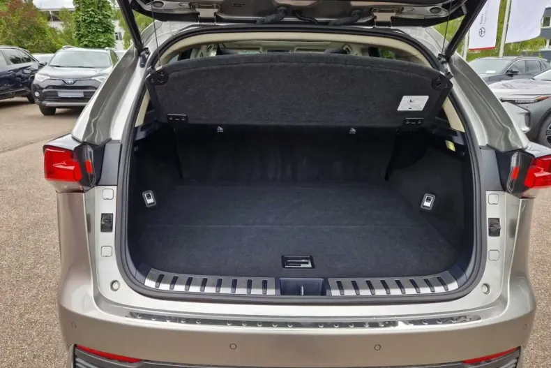 Lexus NX 300 din 2021 cu 65.205 km - oferta LEX103635 - foto 12