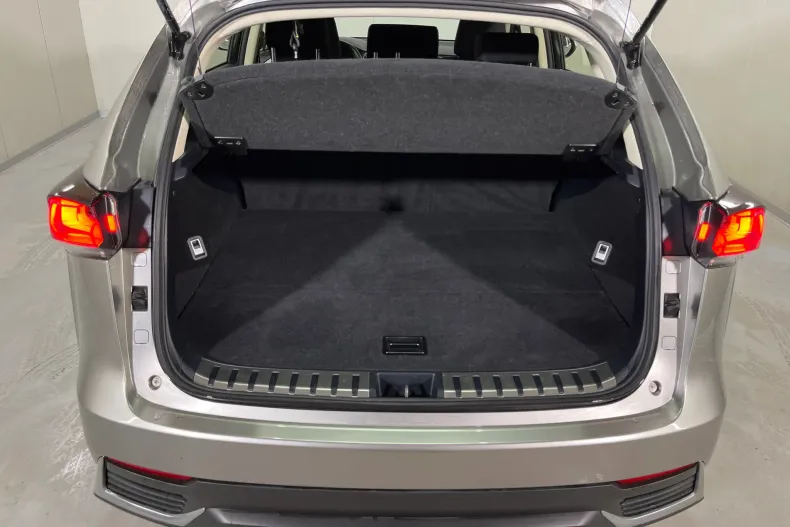 Lexus Seria NX din 2020 cu 106.115 km - oferta LEX104092 - foto 12