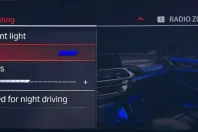 BMW X3 din 2021 cu 123.000 km - oferta BMW104294 - foto 35