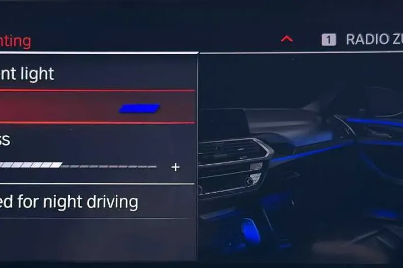 BMW X3 din 2021 cu 123.000 km - oferta BMW104294 - foto 35