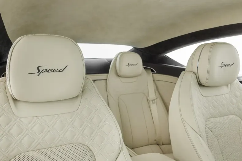 Bentley Continental GT din 2021 cu 9.990 km - oferta BEN105896 - foto 27