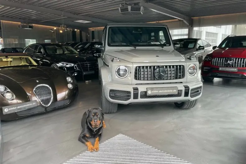 Mercedes-Benz G 500 din 2023 cu 10.000 km - oferta MER106306 - foto 20