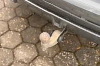 BMW X5 din 2023 cu 34.300 km - oferta BMW106640 - foto 27