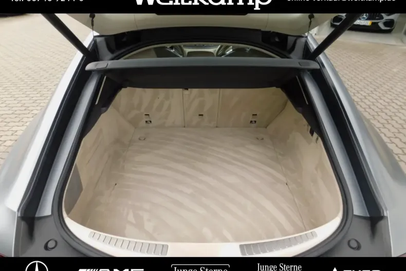 Mercedes-Benz AMG GT din 2021 cu 43.325 km - oferta MER106868 - foto 10