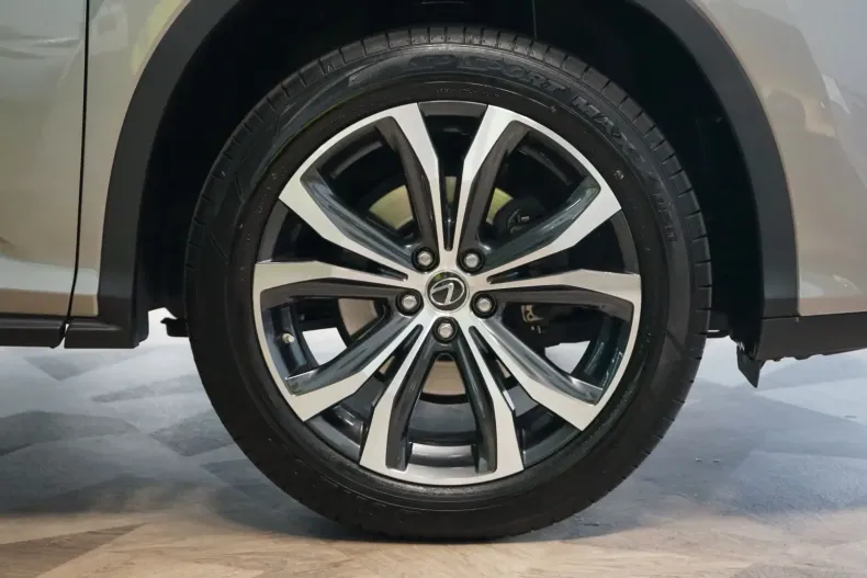 Lexus RX 300 din 2022 cu 48.838 km - oferta LEX107035 - foto 6