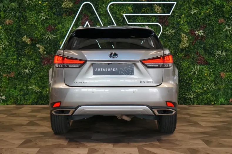 Lexus RX 300 din 2022 cu 48.838 km - oferta LEX107035 - foto 8