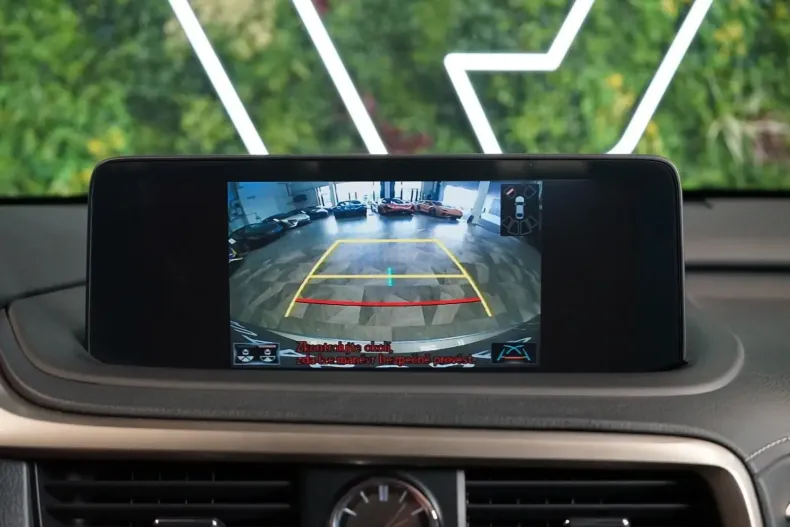 Lexus RX 300 din 2022 cu 48.838 km - oferta LEX107035 - foto 29