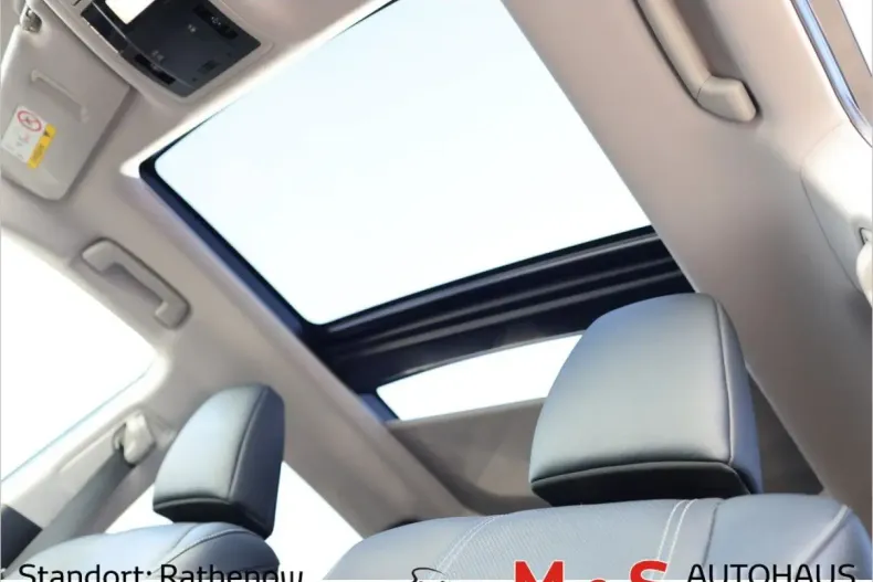 Lexus RX 450 din 2022 cu 88.453 km - oferta LEX107037 - foto 15