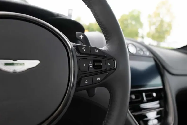 Aston Martin DBX din 2023 cu 23.990 km - oferta AST107071 - foto 25