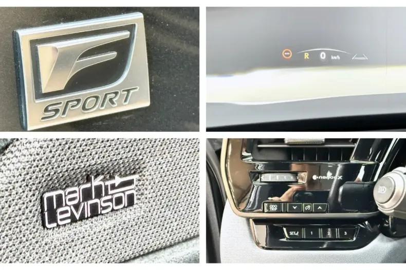 Lexus RX 500 din 2023 cu 29.998 km - oferta LEX107338 - foto 20