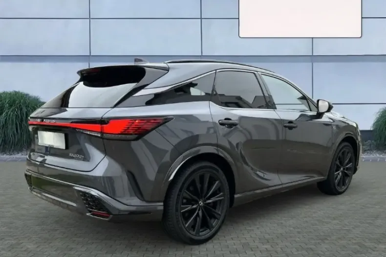 Lexus RX 500 din 2024 cu 50 km - oferta LEX107629 - foto 6