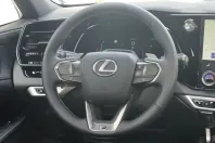 Lexus RX 500 din 2024 cu 10 km - oferta LEX107631 - foto 18