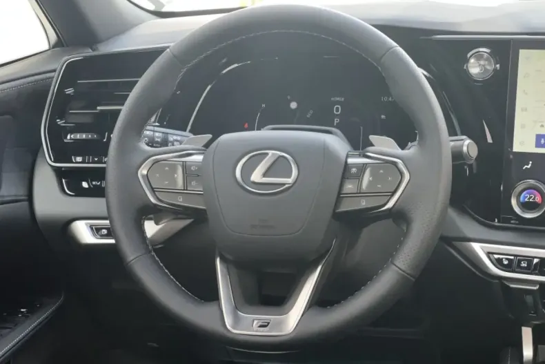 Lexus RX 500 din 2024 cu 10 km - oferta LEX107631 - foto 18