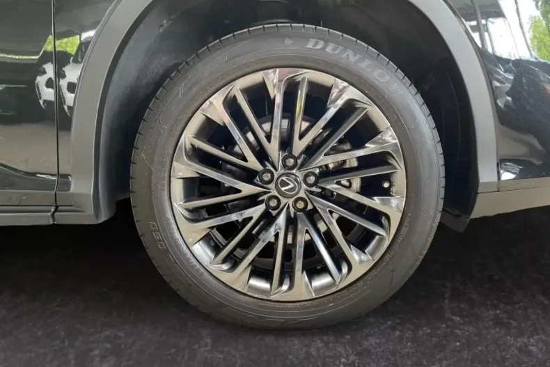 Lexus RX 450 din 2022 cu 57.300 km - oferta LEX108343 - foto 9