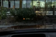 Lexus NX 350h din 2025 cu 25 km - oferta LEX108510 - foto 10