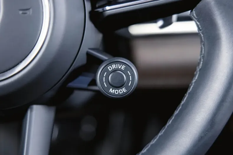 Porsche Panamera din 2023 cu 10.500 km - oferta POR109492 - foto 33