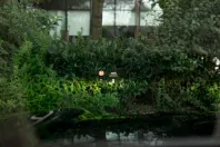 Porsche Cayenne din 2023 cu 31.900 km - oferta POR109739 - foto 9