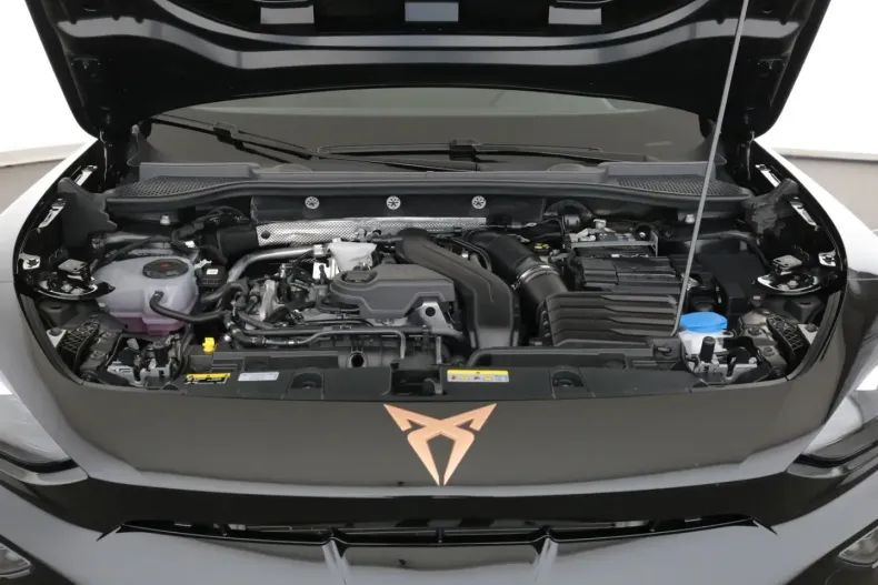 Cupra Formentor din 2024 cu 6.200 km - oferta CUP110461 - foto 23