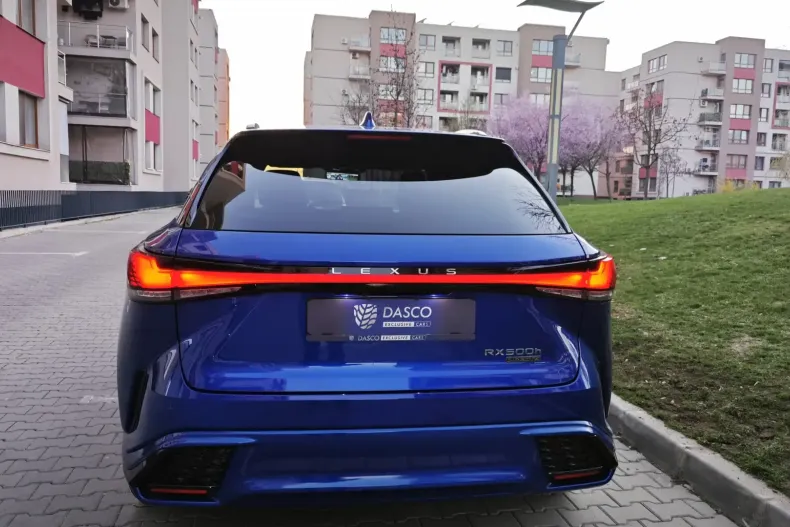 Lexus RX 500 din 2024 cu 20.000 km - oferta LEX110971 - foto 2