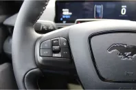 Ford Mustang Mach-E din 2022 cu 12.541 km - oferta FOR111725 - foto 15