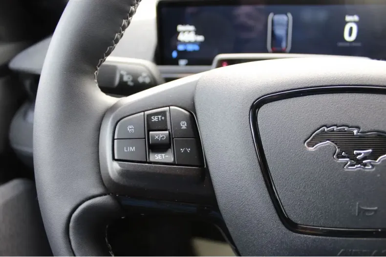 Ford Mustang Mach-E din 2022 cu 12.541 km - oferta FOR111725 - foto 15