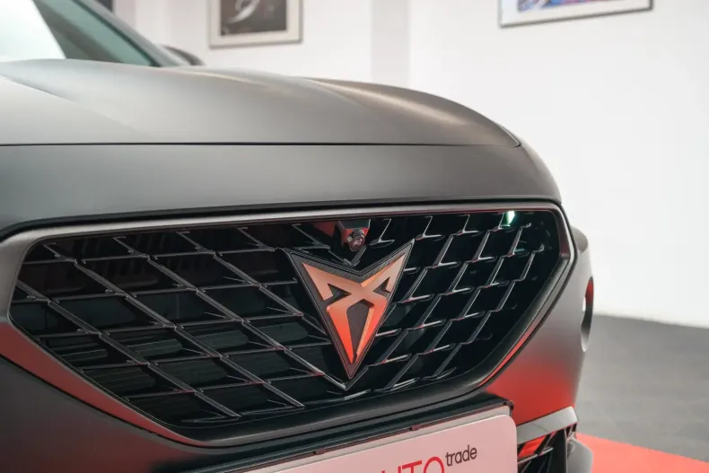 Cupra Formentor din 2023 cu 18.053 km - oferta CUP112076 - foto 10