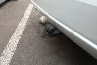 BMW 320 din 2023 cu 62.200 km - oferta BMW112358 - foto 14