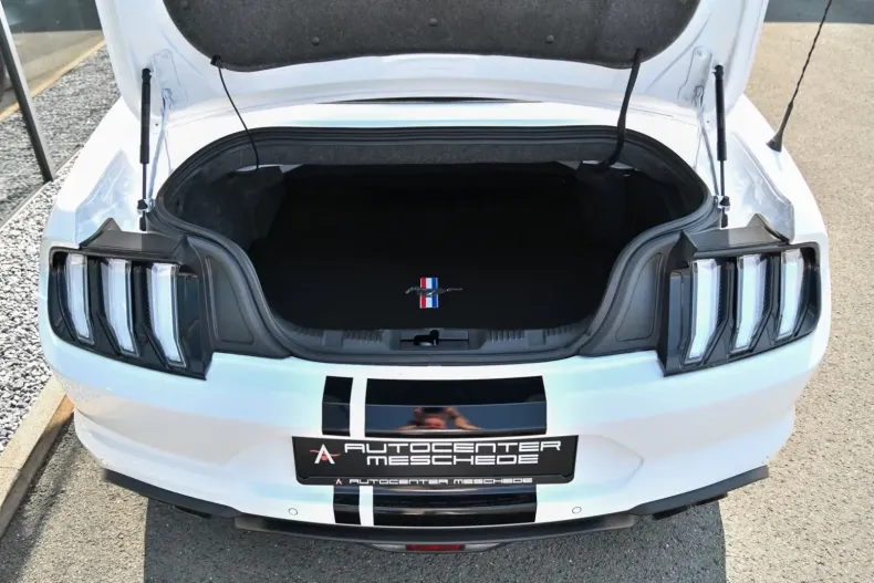 Ford Mustang din 2022 cu 1.159 km - oferta FOR112596 - foto 7