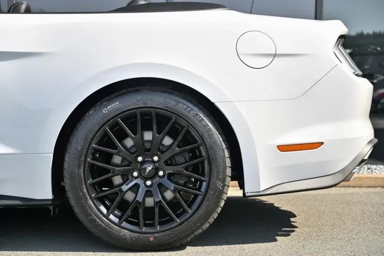 Ford Mustang din 2022 cu 1.159 km - oferta FOR112596 - foto 37