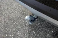 BMW X3 din 2024 cu 15.000 km - oferta BMW112965 - foto 14