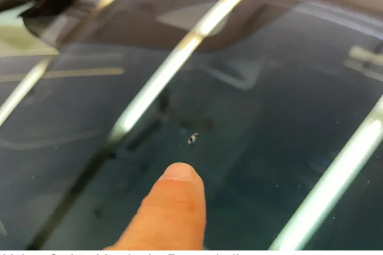 Mercedes-Benz S 580 din 2024 cu 20.059 km - oferta MER112995 - foto 14