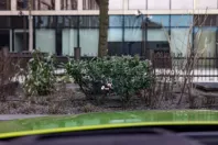 Lamborghini Urus din 2024 cu 15.000 km - oferta LAM113707 - foto 23