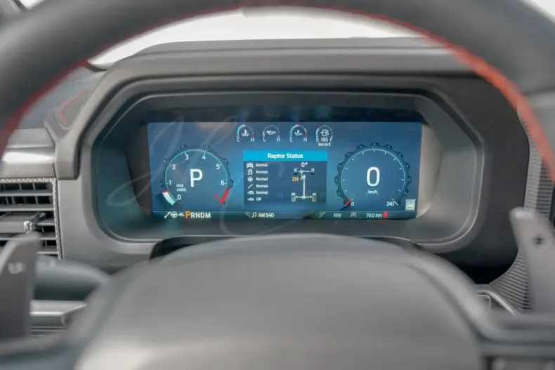 Ford F 150 din 2024 cu 50 km - oferta FOR114865 - foto 13