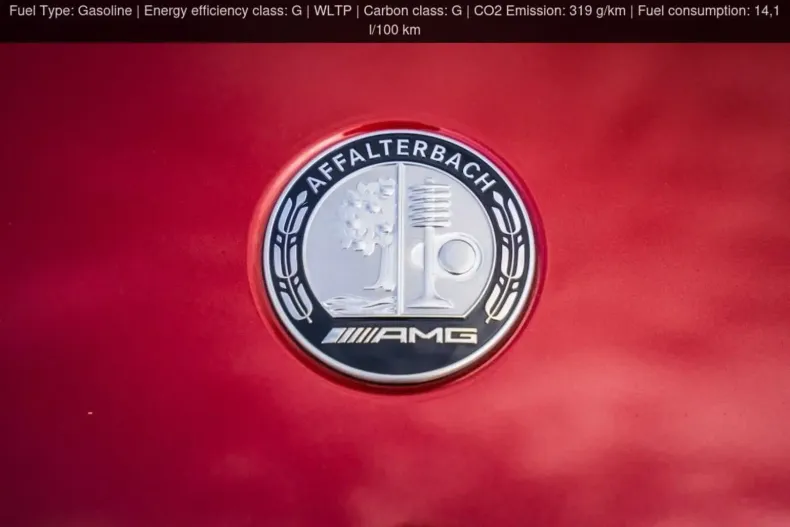 Mercedes-Benz AMG GT din 2024 cu 50 km - oferta MER115950 - foto 13