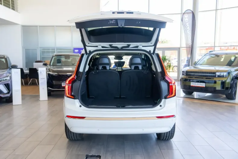 Volvo XC40 din 2025 cu 50 km - oferta VOL116629 - foto 23