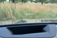 BMW X5 din 2024 cu 50.000 km - oferta BMW117007 - foto 7