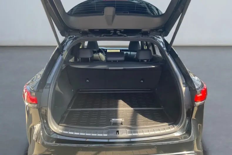 Lexus RX 500 din 2024 cu 84.658 km - oferta LEX117131 - foto 17