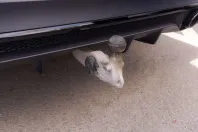 Mercedes-Benz GLE 53 AMG din 2021 cu 59.310 km - oferta MER117593 - foto 36