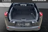 Lexus UX din 2022 cu 41.200 km - oferta LEX117616 - foto 19