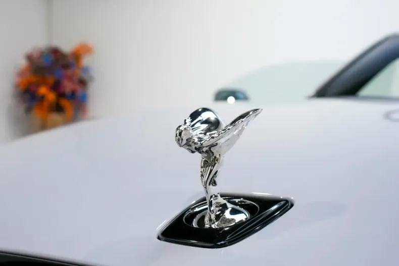 Rolls-Royce Spectre din 2024 cu 6.500 km - oferta ROL117677 - foto 6