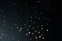 Rolls-Royce Wraith din 2020 cu 25.000 km - oferta ROL118112 - foto 45