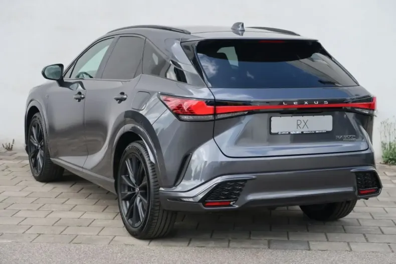 Lexus RX 500 din 2024 cu 20 km - oferta LEX118241 - foto 12