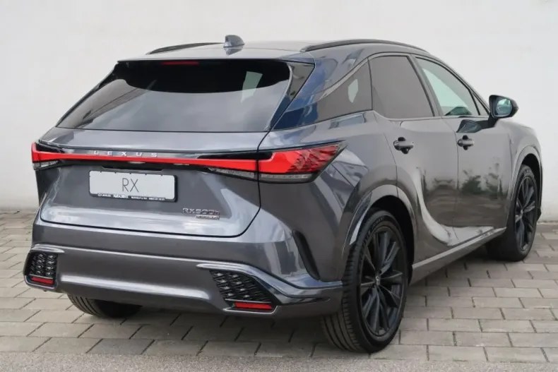 Lexus RX 500 din 2024 cu 20 km - oferta LEX118241 - foto 14