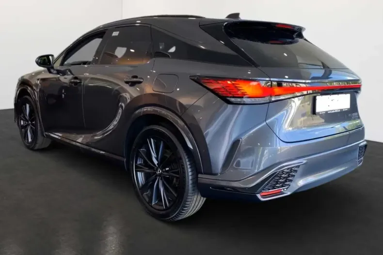 Lexus RX 500 din 2024 cu 10 km - oferta LEX118596 - foto 3