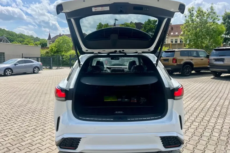 Lexus RX 500 din 2025 cu 15 km - oferta LEX118603 - foto 12