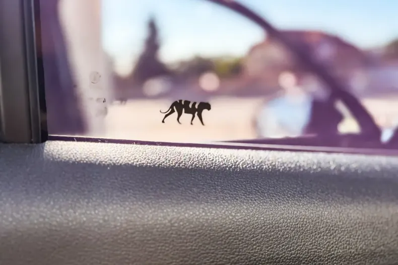 Volkswagen Tiguan din 2025 cu 1 km - oferta VOL119038 - foto 12