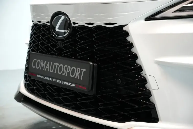 Lexus RX 450 din 2025 cu 20 km - oferta LEX119099 - foto 17