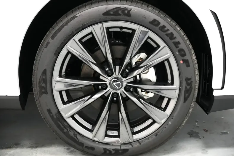 Lexus RX 450 din 2025 cu 20 km - oferta LEX119099 - foto 19